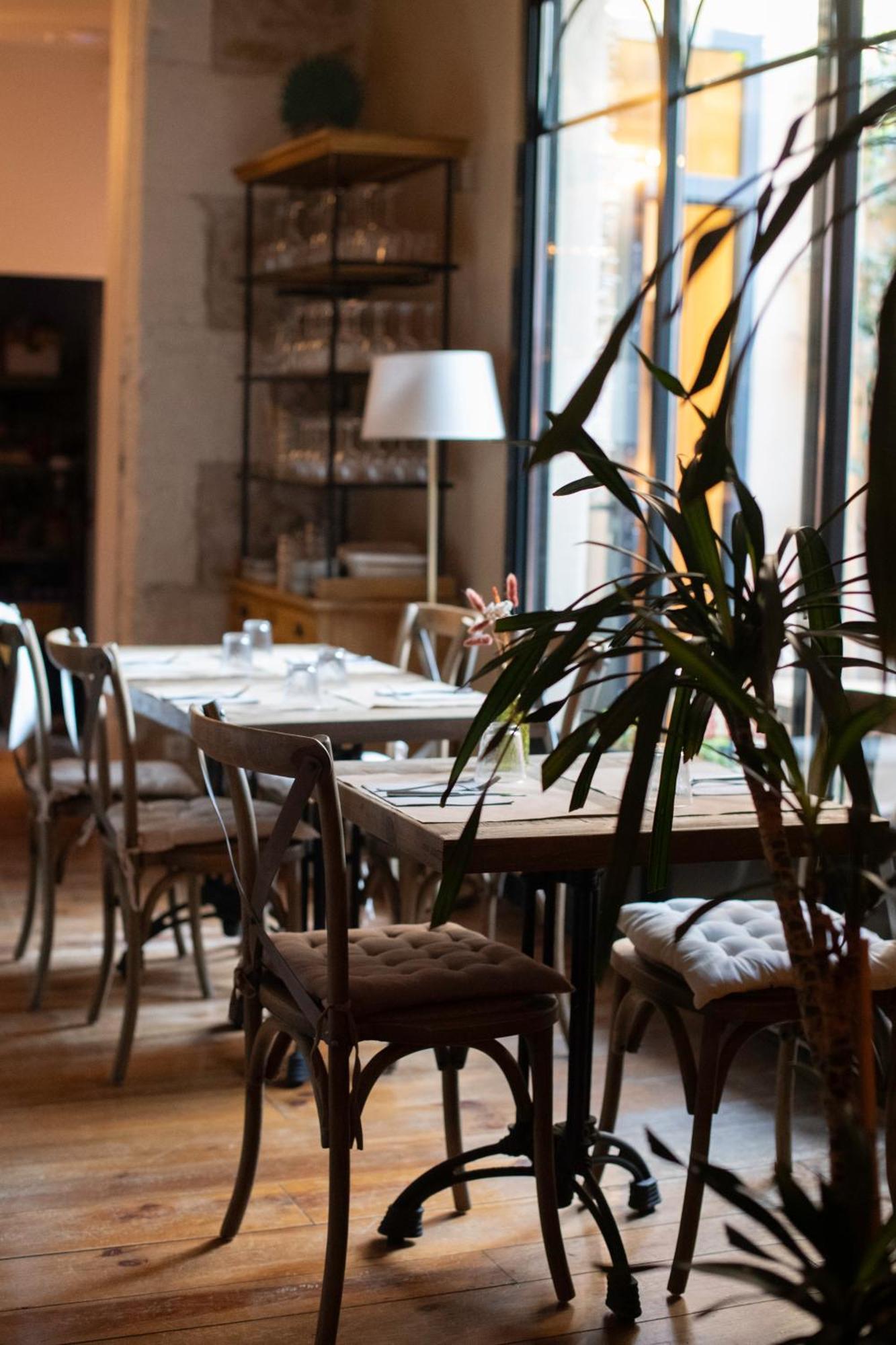 La Maison Clemenceau Salon-de-Provence Dış mekan fotoğraf